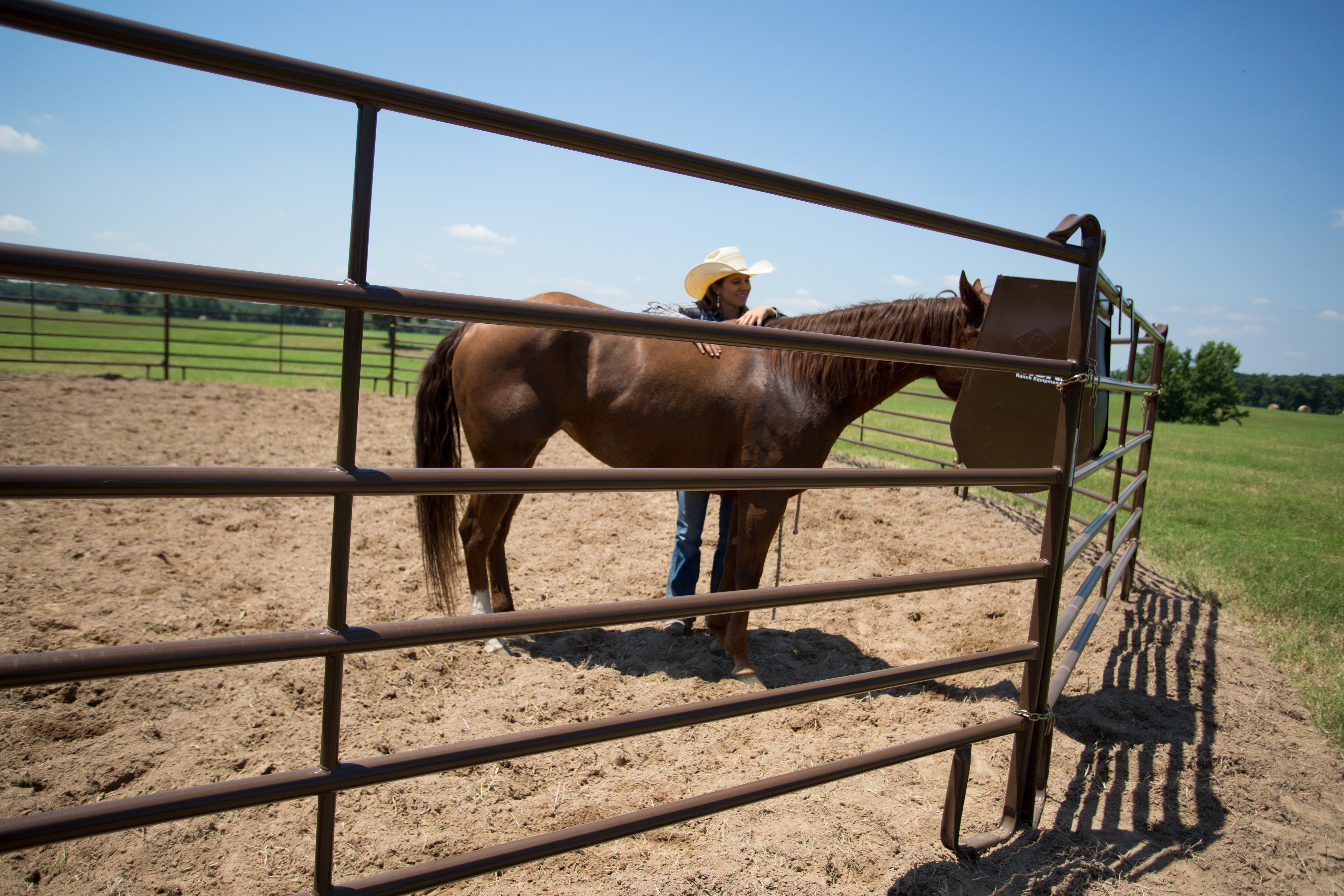 Horse Feeder HGFBN UP50 09.jpg